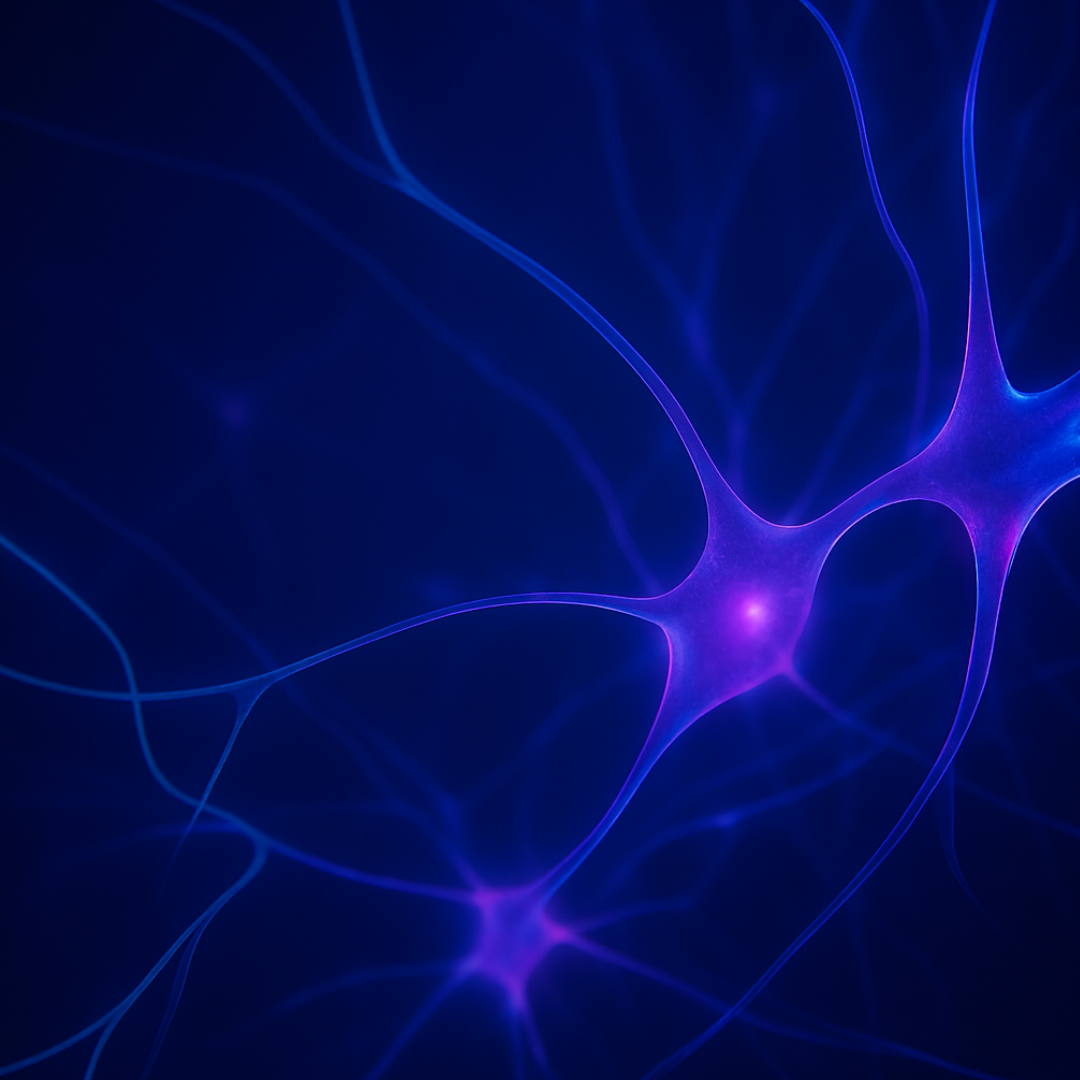 Neurohacking Integral